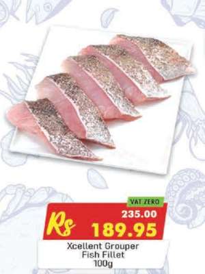 Xcellent Grouper Fish Fillet