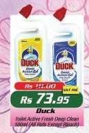 Duck