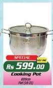 Cooking Pot