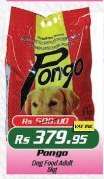 Pongo