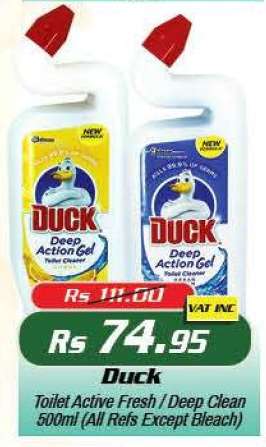 Duck