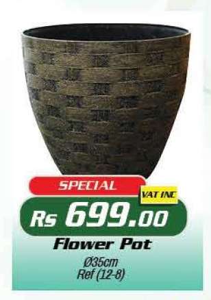 Flower Pot