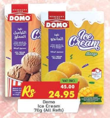 Domo Ice Cream 70g (All Refs)