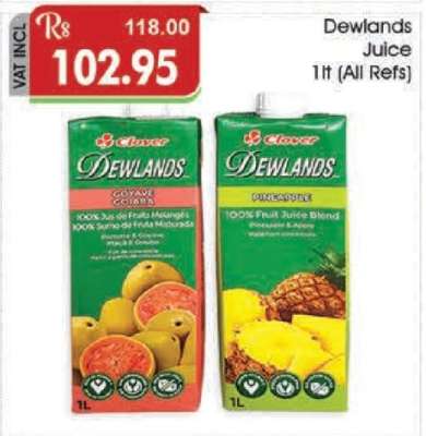 Dewlands Juice 1L (All Refs)