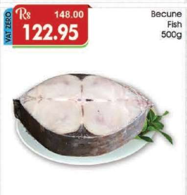 Becune Fish 500g