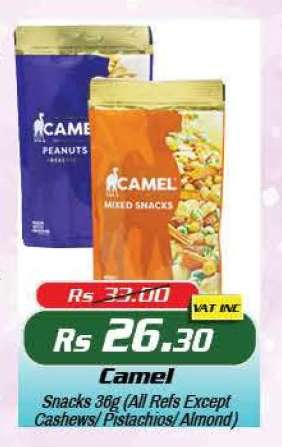 Camel