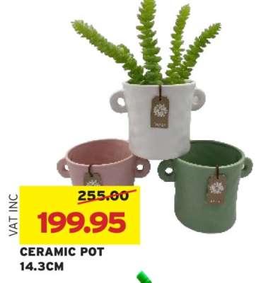 CERAMIC POT