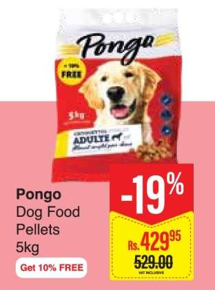Pongo