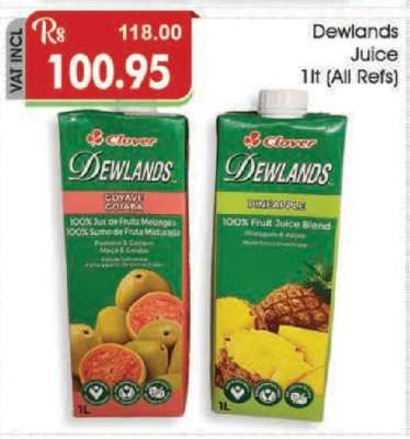 Dewlands Juice 1L (All Refs)