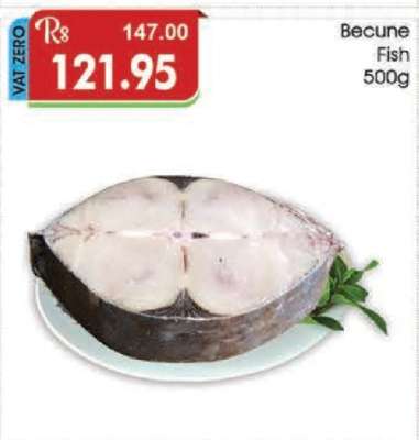 Becune Fish