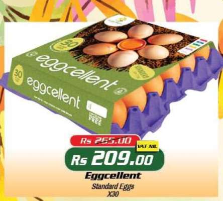 Eggcellent