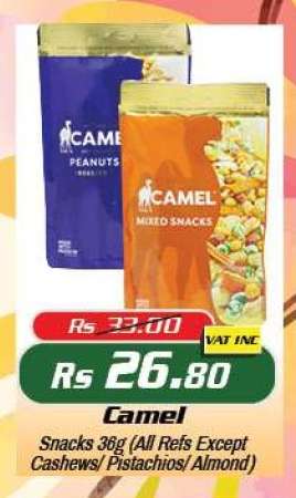Camel
