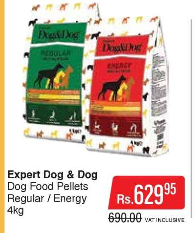 Expert Dog & Dog