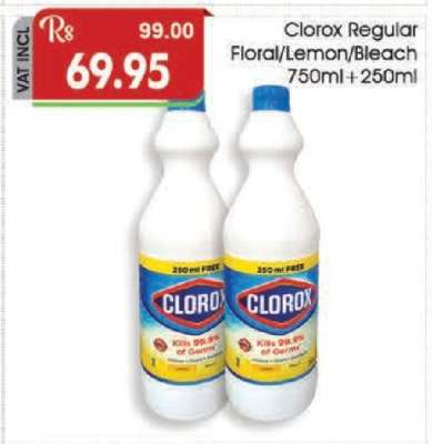 Clorox Regular Floral/Lemon/Bleach 750ml + 250ml
