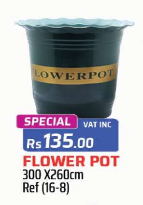 Flower Pot
