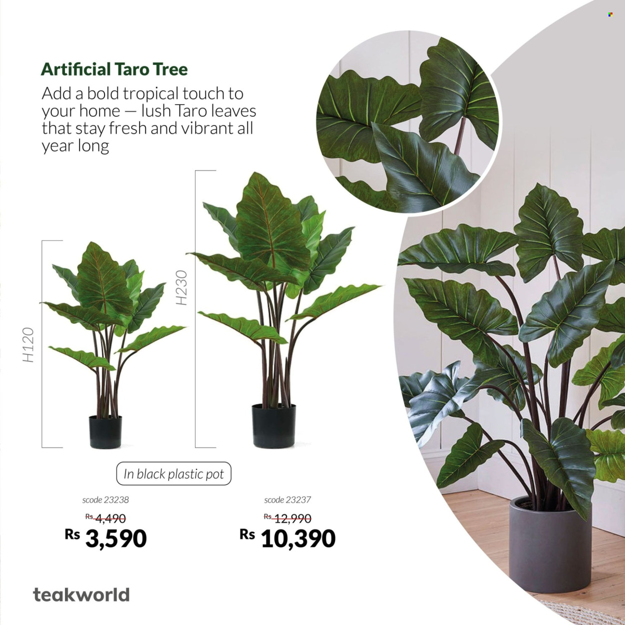 Teak World catalogue. Page 4