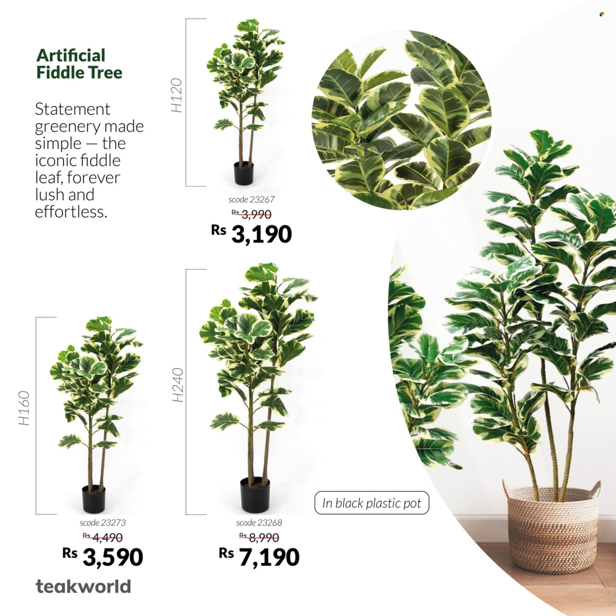 Teak World catalogue. Page 6