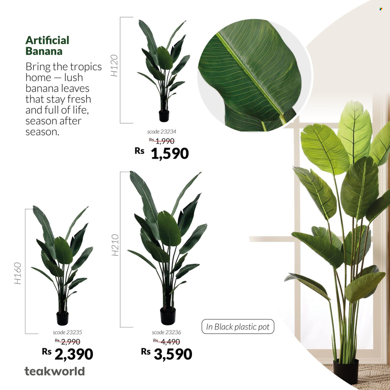 Teak World catalogue. Page 8
