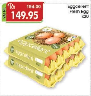 Eggcellent Fresh Egg x20