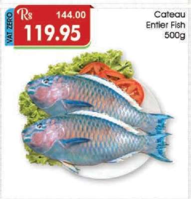 Cateau Entier Fish