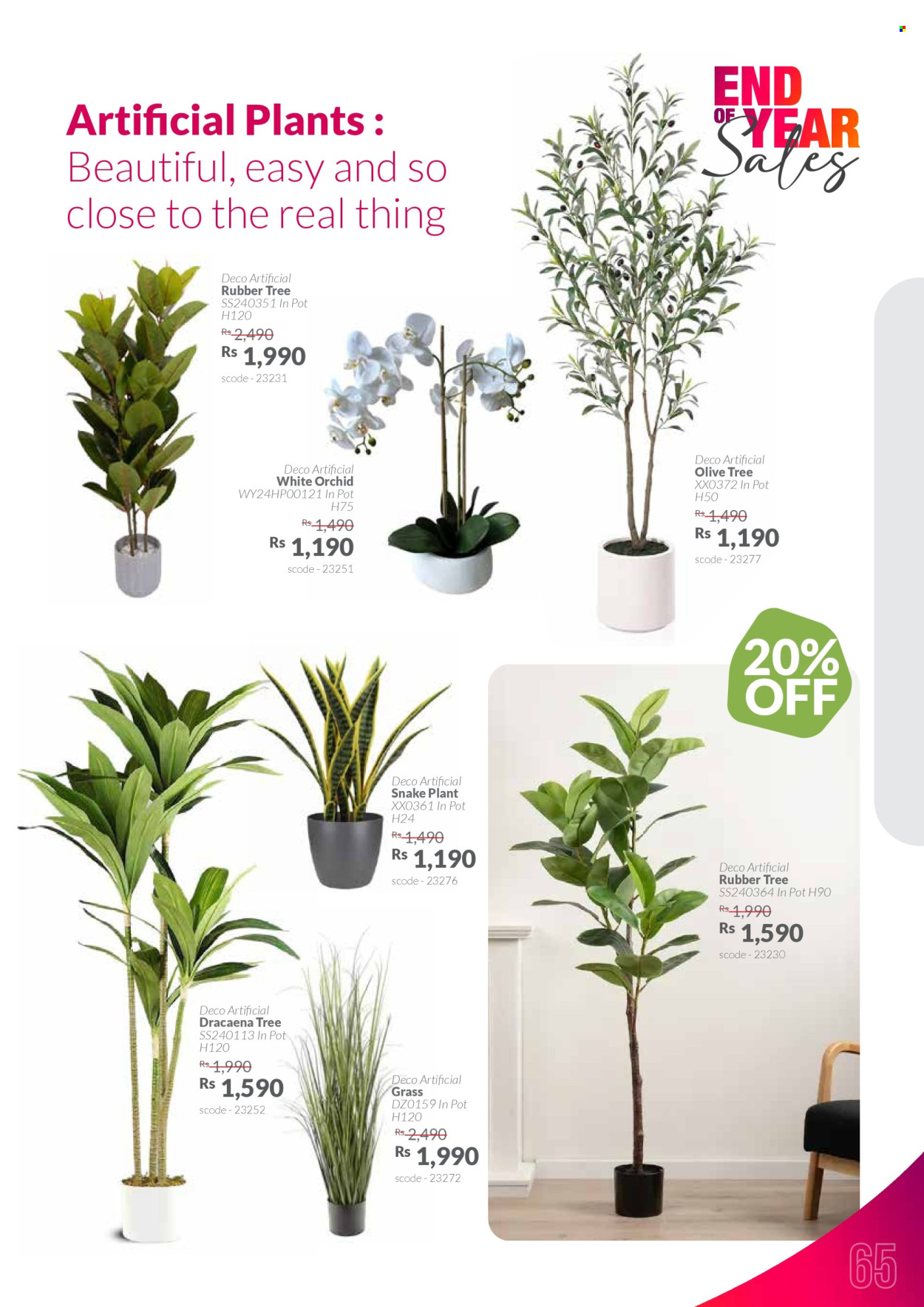 Teak World catalogue - 20.11.2025 - 19.01.2026. Page 65