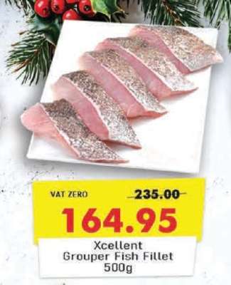Xcellent Grouper Fish Fillet 500g