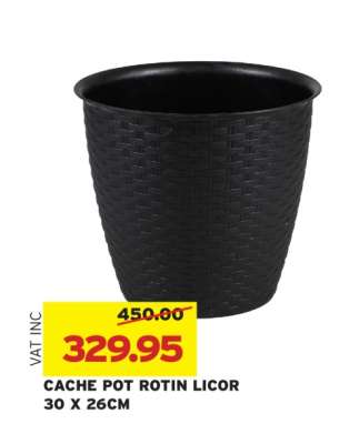 CACHE POT ROTIN LICOR