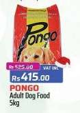 Pongo