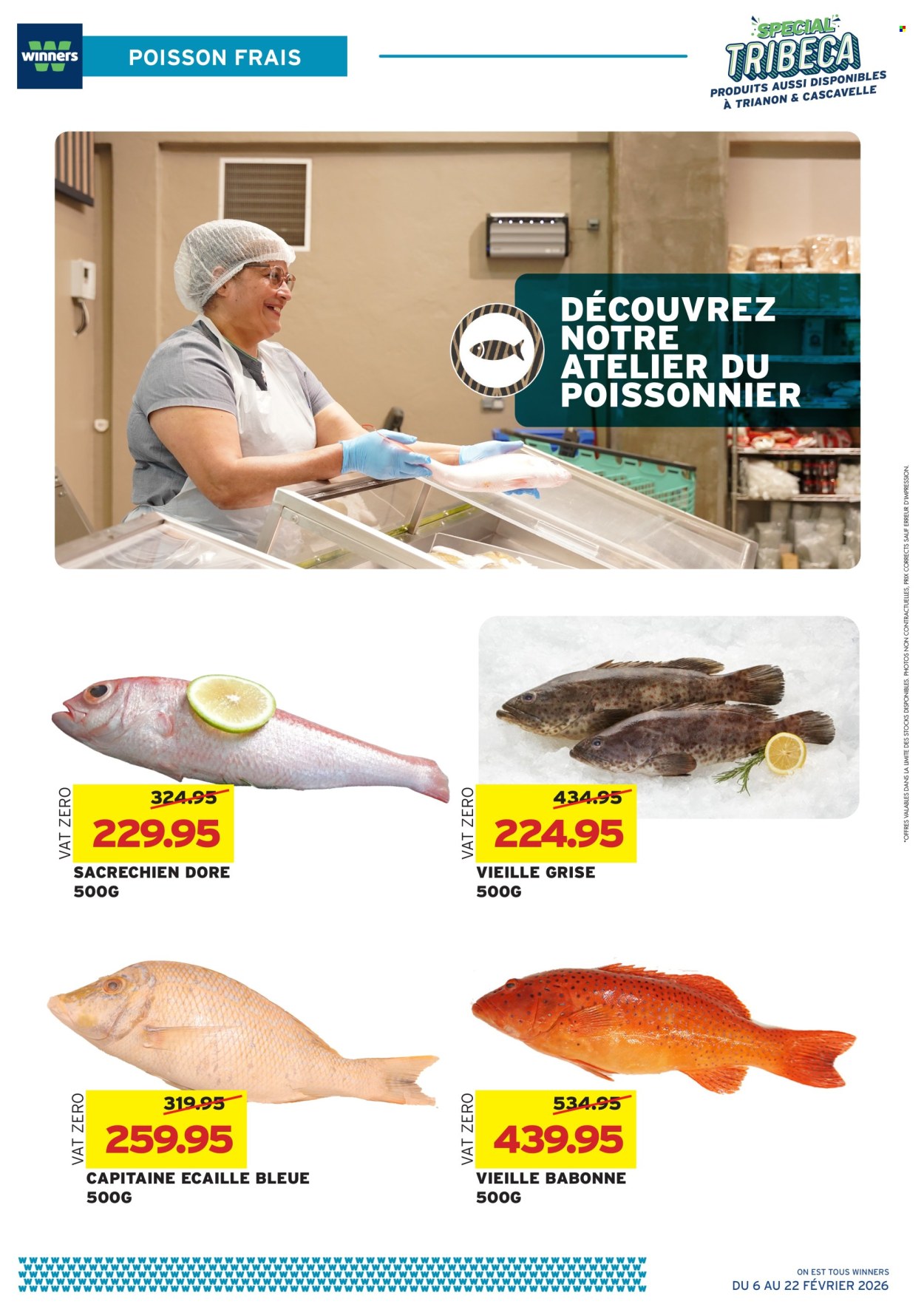 Winners catalogue - 6.02.2026 - 22.02.2026. Page 11