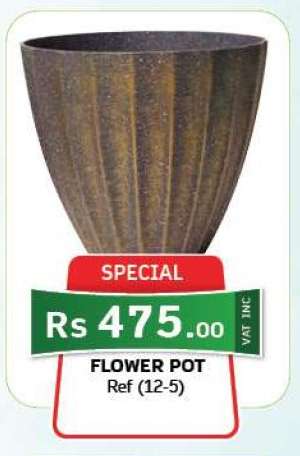 Flower Pot