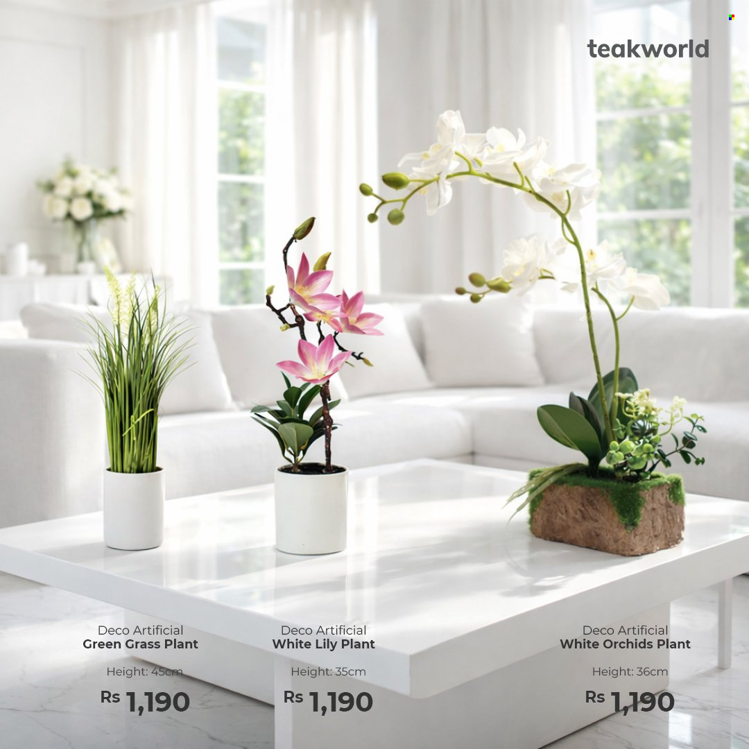 Teak World catalogue. Page 5