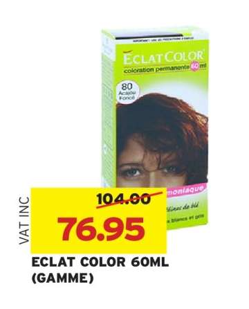 ECLAT COLOR 60ML (GAMME)