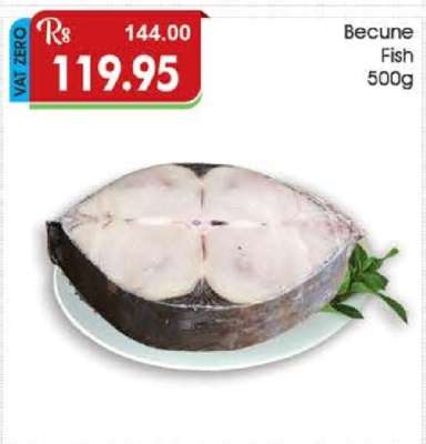 Becune Fish