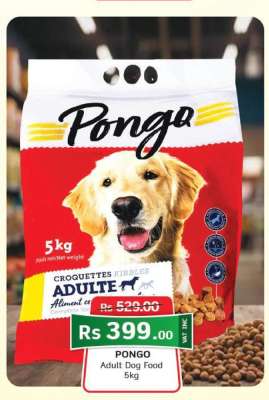 Pongo
