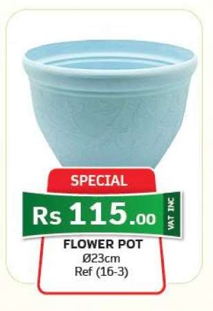 Flower Pot
