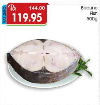 Becune Fish 500g