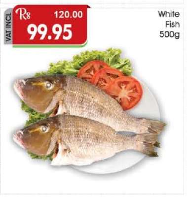 White Fish
