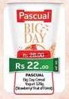 PASCUAL Big Day Cereal Yogurt 120g