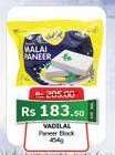 VADILAL Paneer Block
