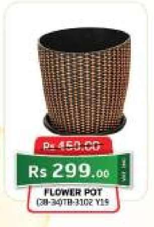 Flower Pot