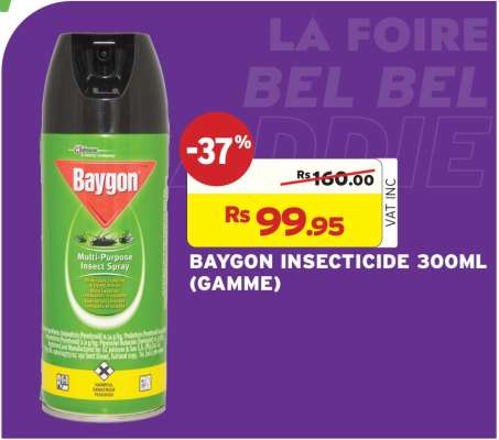 BAYGON INSECTICIDE 300ML (GAMME)