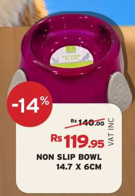 NON SLIP BOWL