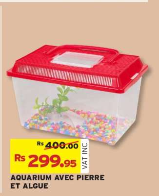 AQUARIUM AVEC PIERRE ET ALGUE