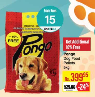 Pongo
