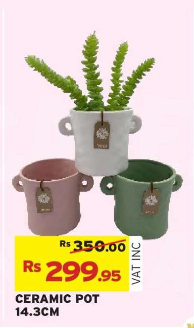 CERAMIC POT